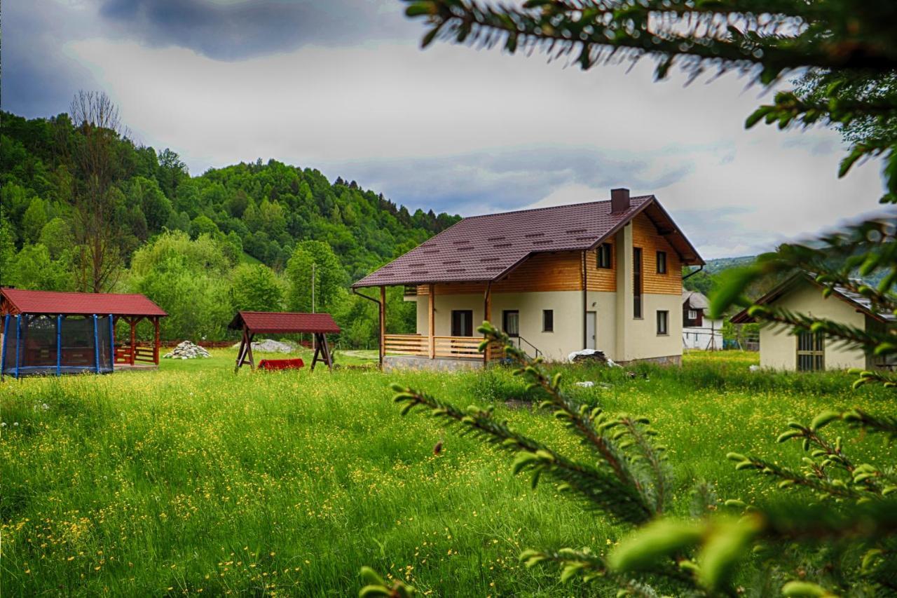 Pensiunea Floare De Colt Moisei Exterior foto